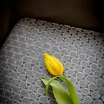 La Madernassa - Casalora Dimora Storica Di Charme Bed & Breakfast 4*