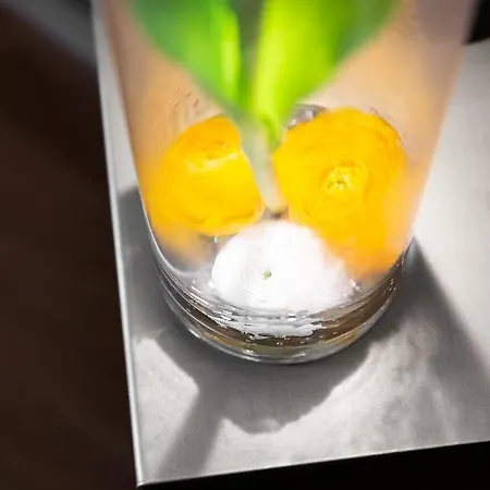 La Madernassa Resort - Casalora Dimora Storica Di Charme 4* Guarene