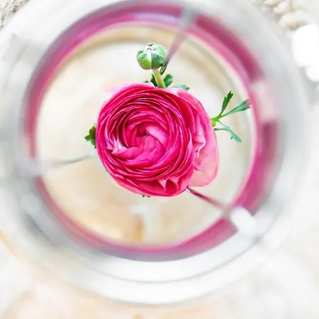 La Madernassa - Casalora Dimora Storica Di Charme Отель типа 