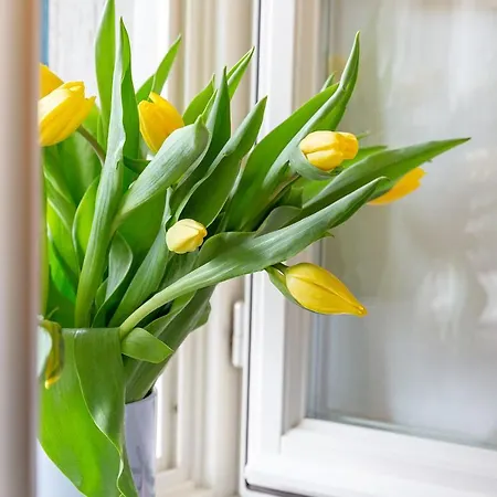 Bed and breakfast La Madernassa - Casalora Dimora Storica Di Charme 4*